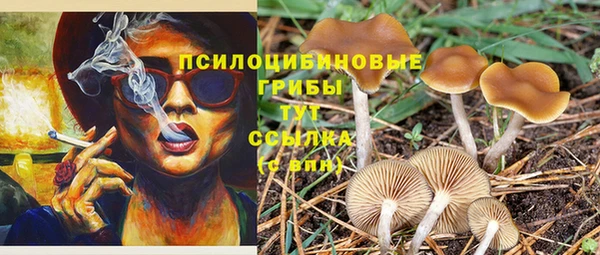 соль ск Верхнеуральск