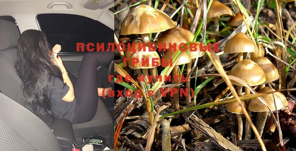 jwh Верхний Тагил