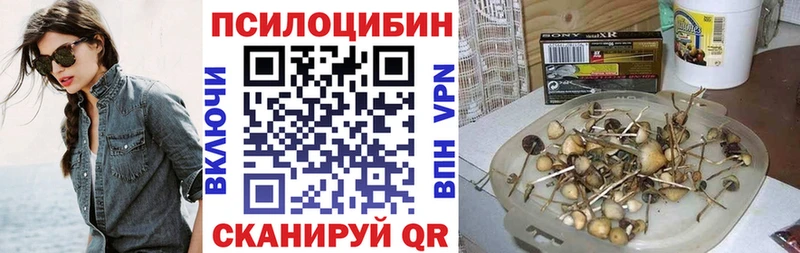 Псилоцибиновые грибы прущие грибы  Новохопёрск 